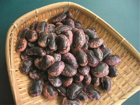 霊山たけやまのおすすめお土産