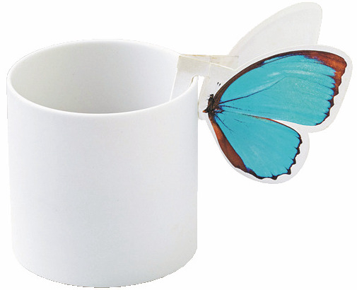 【ひがし茶屋街の楽しみ方】④金沢クラフトに会える店