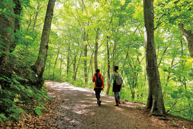 アクアグリーンビレッジANMON