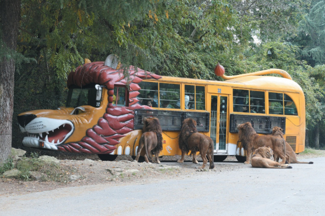 エサやり体験バス