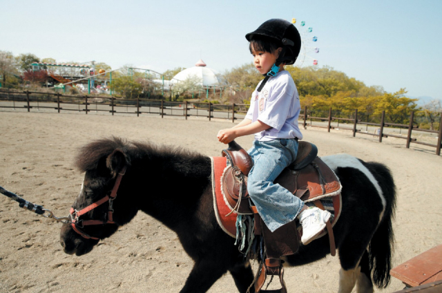 ふれあいパーク
