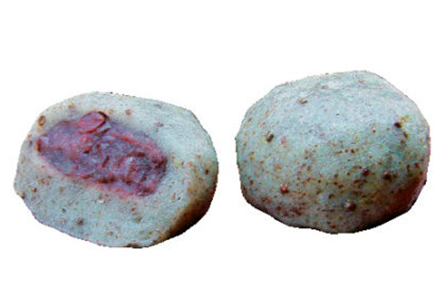 【高山さんまちを食べ歩き】飛騨 大井屋