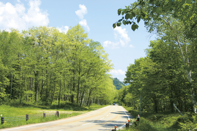 飛騨美濃せせらぎ街道絶景ドライブナビ 四季の移ろいを満喫できるコースはこちら!!