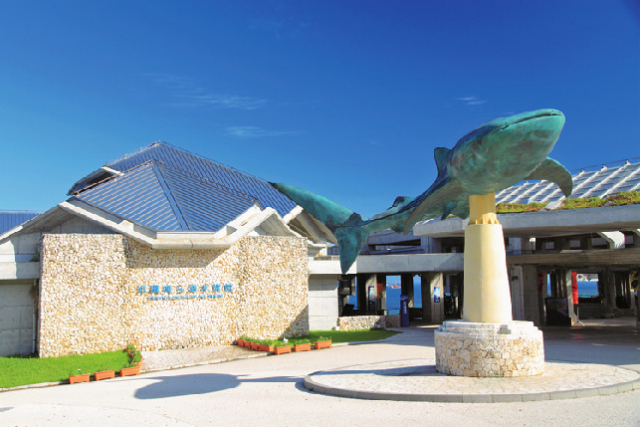 【沖縄旅行×おすすめスポット6】9:30 人気NO.1スポットの「沖縄美ら海水族館」