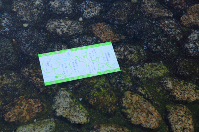 【京都のパワースポットのおみくじ】下鴨神社