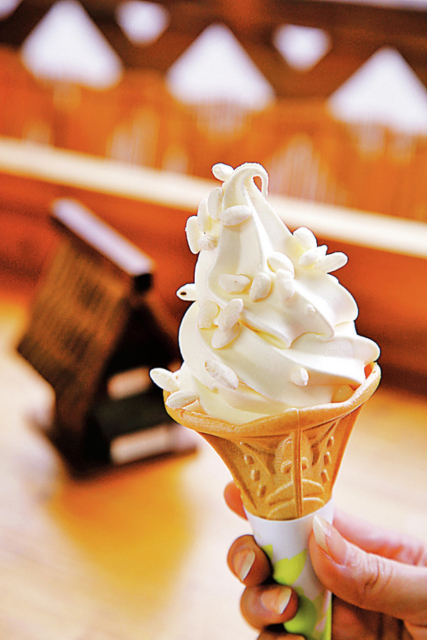 【白川郷・萩町集落×どぶろくスイーツ】食べ歩きしたい!人気のどぶろくスイーツ「今藤商店」