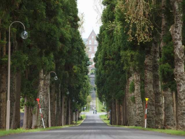 渡島当別駅前でレンタサイクルがOPEN!