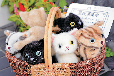 【御成通り】鎌倉ねこサロン