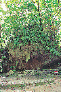 見どころ①ゆいんち 寄満