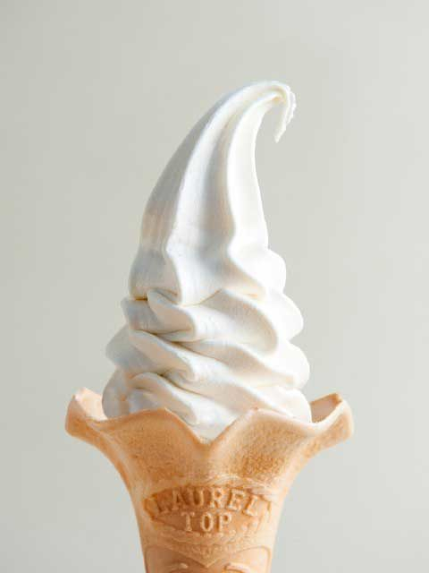 【湯の川周辺×観光】丘の上で牛にふれ合える「函館牛乳 あいす118」