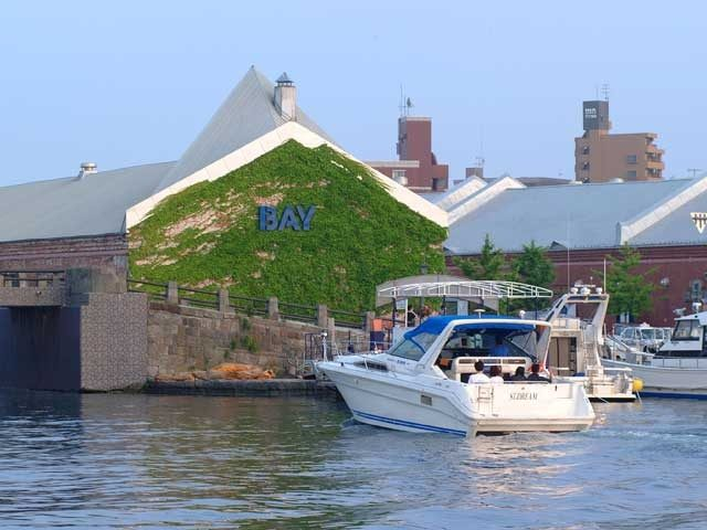 欲ばりポイント