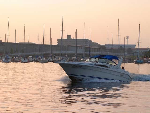 欲ばりポイント