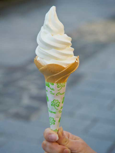 箱館元町 宇須岸の館