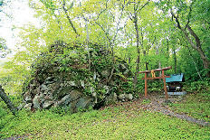 【ココでレンタル!】レンタサイクルで湖畔を一周「フレンドリーベア」