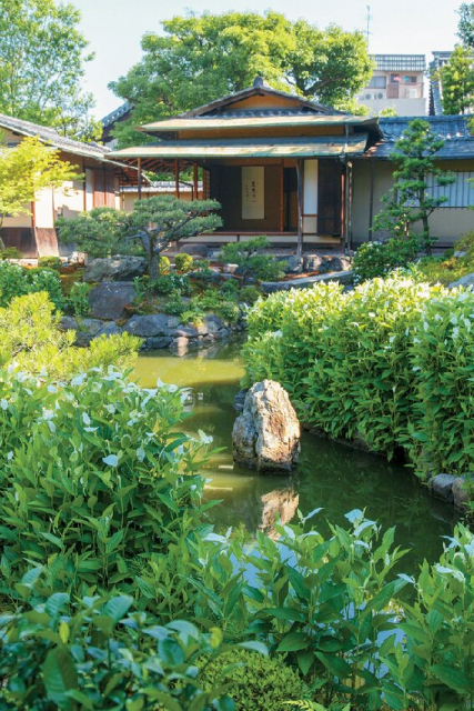 【建仁寺の塔頭】両足院