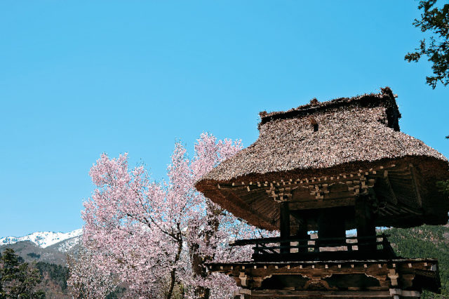 春はゆっくりと