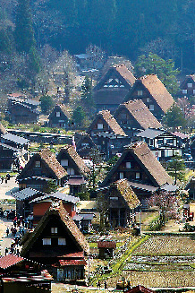 Q.みんな同じ方角を向いているってホント?