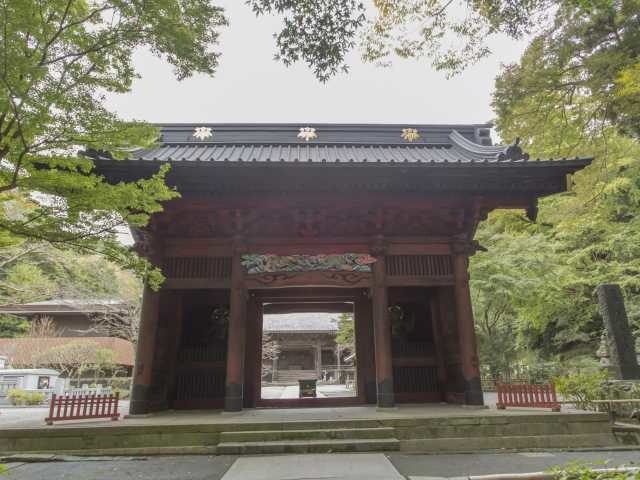 【鎌倉観光 エリアのポイント解説】大町・材木座エリア