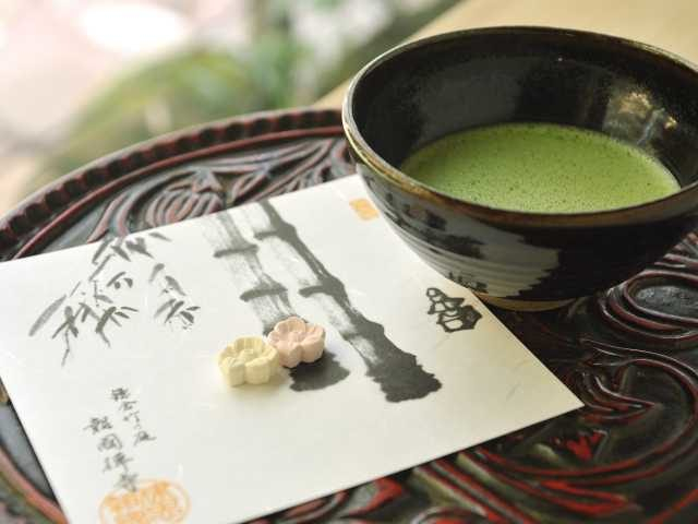 【鎌倉・金沢街道×おすすめスポット】報国寺でリラックス