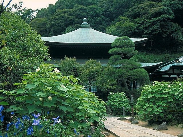 三方の山を背に名勝庭園と花の寺「瑞泉寺」