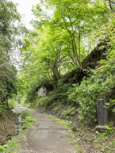 金沢街道 ひと足延ばして切通し散策