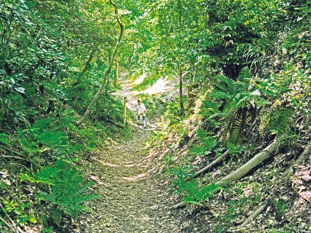 絶景を求め北鎌倉ハイキング