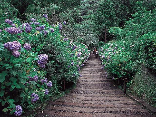 SNSにアップしたい季節の花々