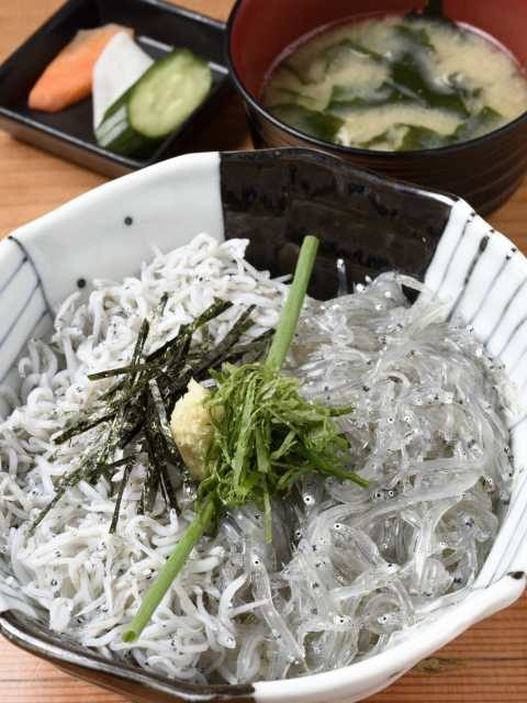 【鎌倉×しらすグルメ】しらすや