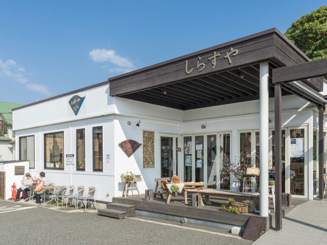 【鎌倉×しらすグルメ】しらすや