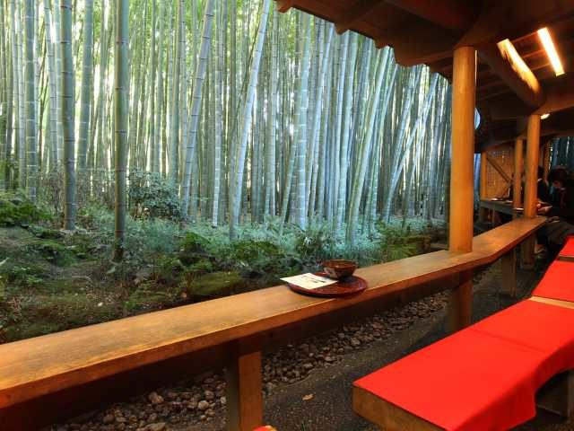 【鎌倉観光 エリアのポイント解説】金沢街道エリア