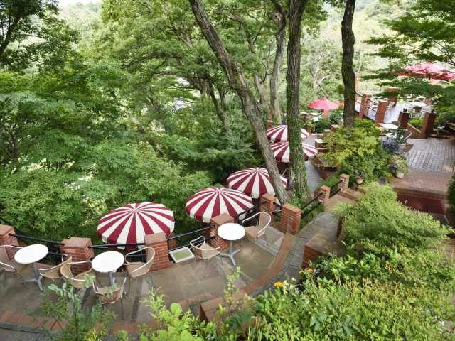④カフェテラス樹ガーデン