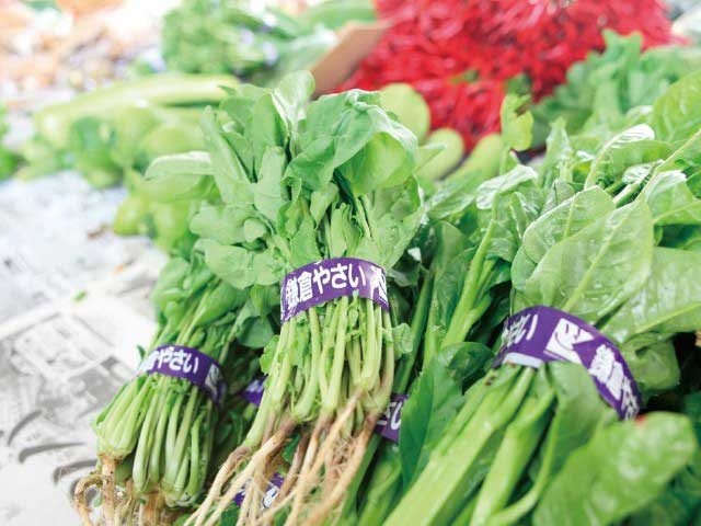 【鎌倉観光×自然①】1 0 : 0 0 プロも通う“レンバイ”でカラフルな鎌倉野菜を♪「鎌倉市農協連即売所」