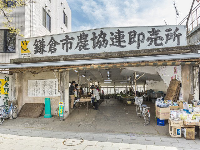 【鎌倉観光×自然①】1 0 : 0 0 プロも通う“レンバイ”でカラフルな鎌倉野菜を♪「鎌倉市農協連即売所」