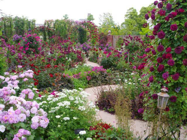 10.横浜イングリッシュガーデン(神奈川県)