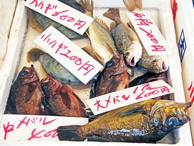 鎌倉観光上級者におすすめの楽しみ方