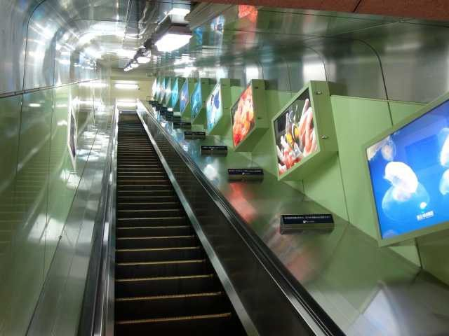 江の島さんぽmemo