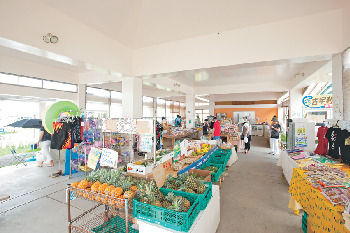 古宇利島に到着したらまずはここ「古宇利ふれあい広場」