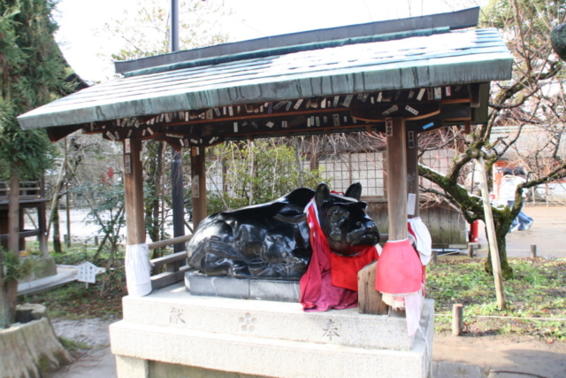【京都の合格祈願 パワースポット】北野天満宮