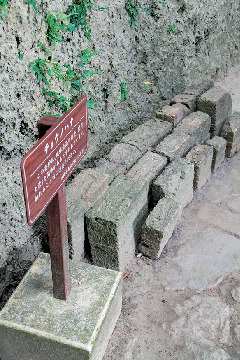 見どころ④チョウノハナ