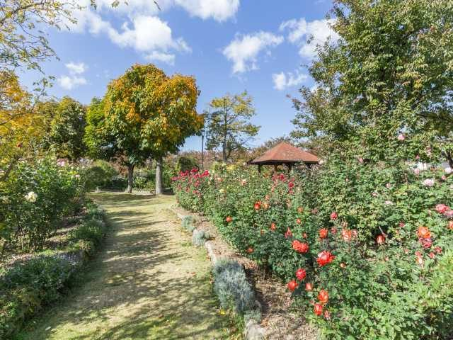 11.中野市一本木公園(長野県)