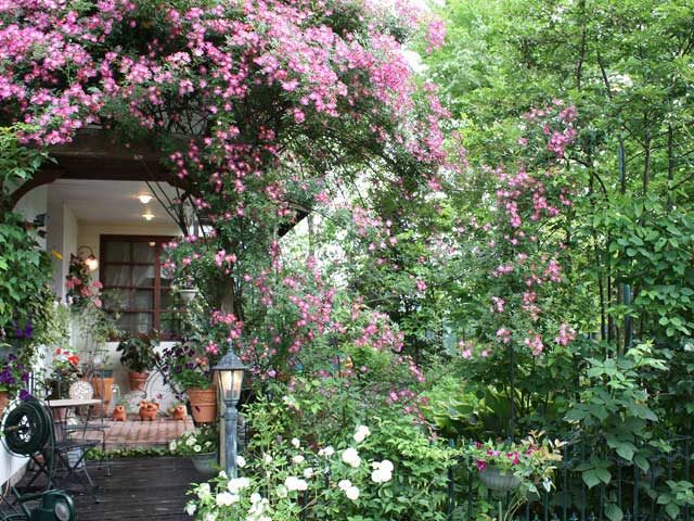 ペンションココット