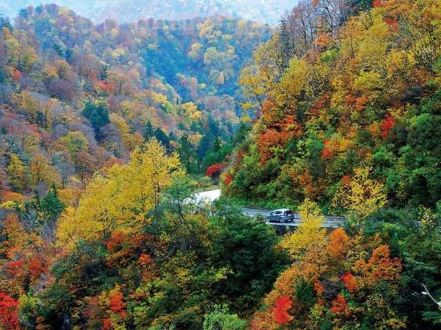白山白川郷ホワイトロード