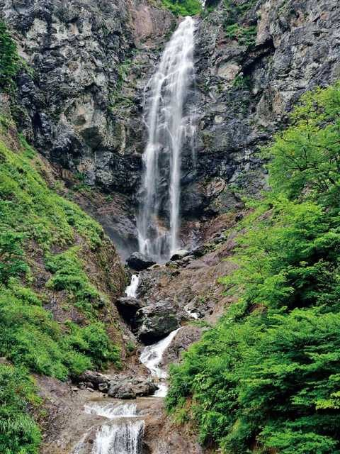 白山白川郷ホワイトロード
