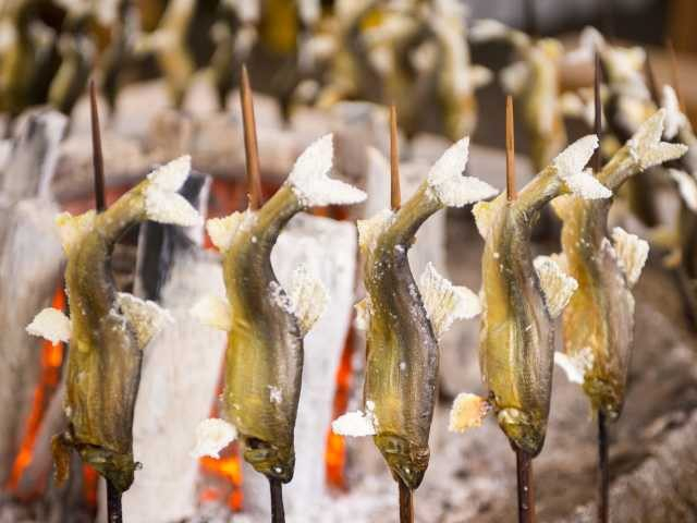 【飛騨高山の道の駅×天然温泉】足湯と鮎の塩焼が自慢「古今伝授の里やまと」