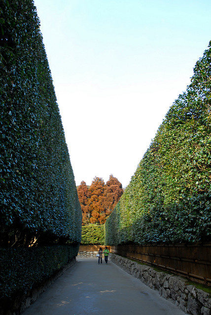 【銀閣寺の見どころ】銀閣寺垣