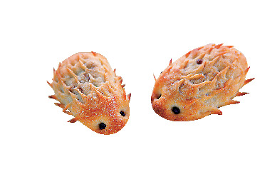 BOULANGERIE CAFE Yamashita