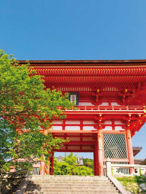 【清水寺の見どころ1】威風堂々と建つ色鮮やかな正門「仁王門」