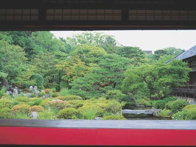 【金閣寺周辺×観光】四季の花が咲き誇る足利家の菩堤寺「等持院」