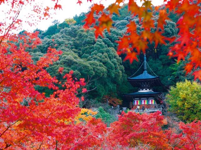 永観堂(禅林寺)