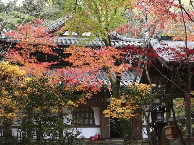 【祇園周辺の神社と寺】長楽寺